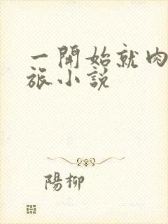 一开始就肉的军旅小说封面