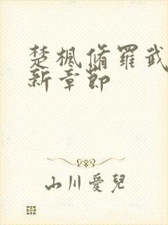 楚枫修罗武神最新章节