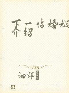 下一站婚姻剧情介绍