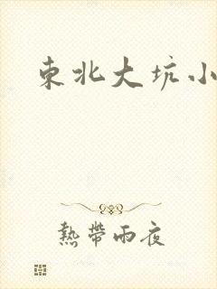 东北大坑小说