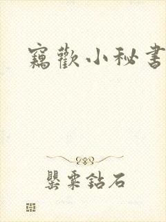 窃欢小秘书