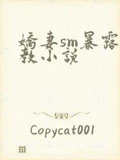 娇妻sm暴露调教小说