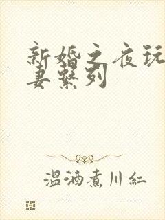 新婚之夜玩弄人妻系列封面