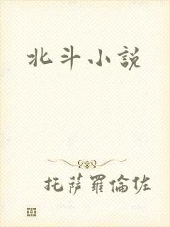 北斗小说封面