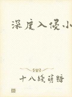 深度入侵小说封面