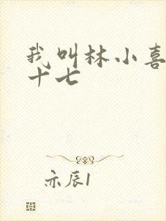 我叫林小喜今年十七