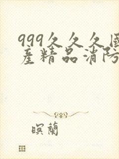 999久久久国产精品消防器材