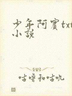 少年阿宾txt小说