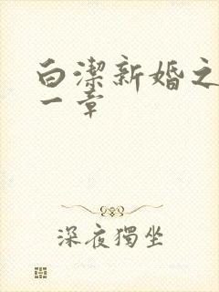 白洁新婚之夜第一章封面