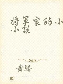 将军家的小娇妻小说封面