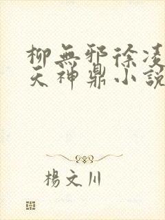 柳无邪徐凌雪吞天神鼎小说