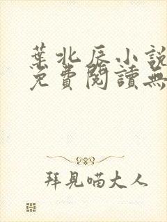 叶北辰小说全文免费阅读无弹窗最新章节封面