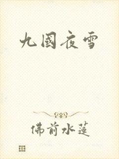 九国夜雪