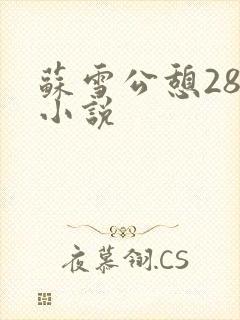 苏雪公憩28篇小说