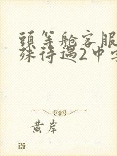 头等舱客服的特殊待遇2中字