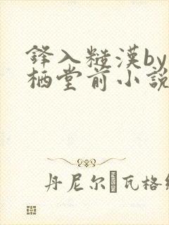 锋入糙汉by凤栖堂前小说全文无删减txt