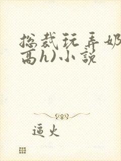 总裁玩弄奶头(高h)小说