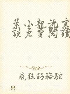 叶小龙沈寒溪小说免费阅读全文无弹窗封面