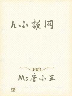 h小说网
