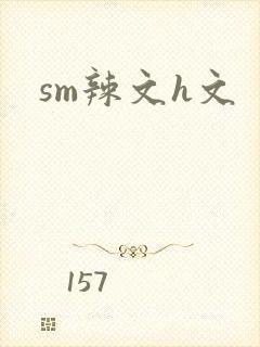 sm辣文h文