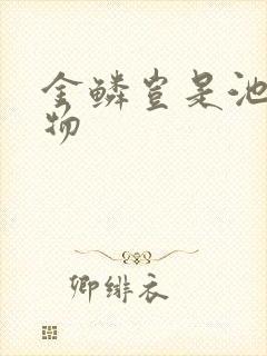 金鳞岂是池中之物封面