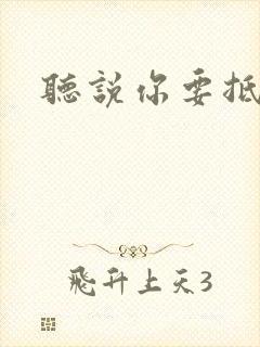 听说你要抵抗我