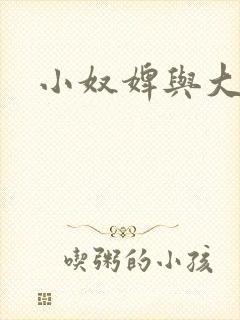 小奴婢与大少爷