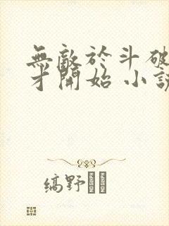 无敌于斗破从天才开始 小说