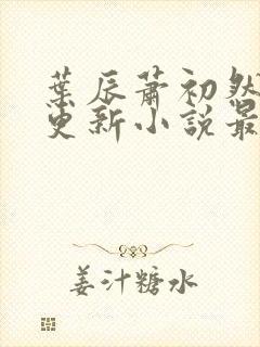 叶辰萧初然最快更新小说最新