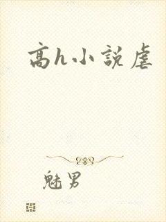 高h小说虐封面