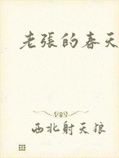 老张的春天封面