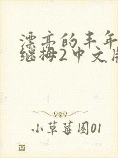 漂亮的丰年经的继拇2中文版