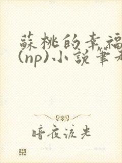 苏桃的幸福生活(np)小说笔趣阁