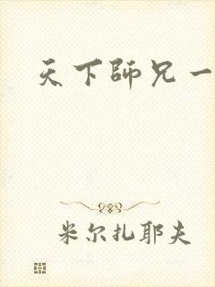 天下师兄一般黑封面