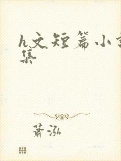 h文短篇小说合集封面
