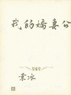 我的娇妻公务员封面