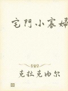 宅门小寡妇封面