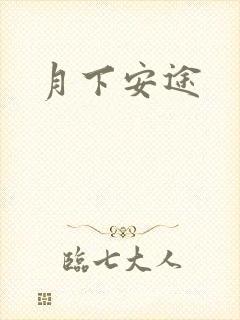 月下安途