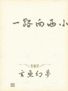 一路向西小说