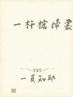 一杆枪扫尽全家封面