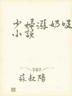 少妇涨奶吸奶头小说封面