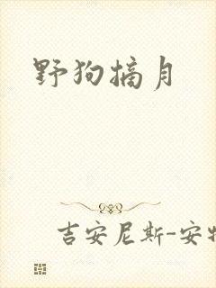 野狗摘月封面