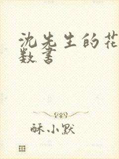 沈先生的花式调数书