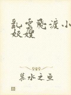 乱云飞渡小说之姣嫂