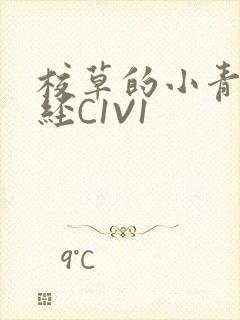 校草的小青梅不经C1V1封面