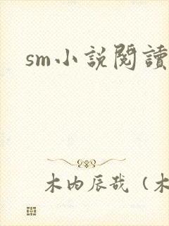 sm小说阅读封面