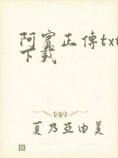 阿宾正传txt下载