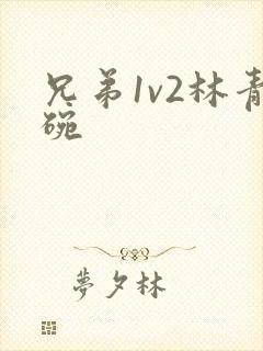 兄弟1v2林青碗封面