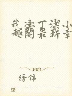 我凄丁洁小说笔趣阁最新章节更新时