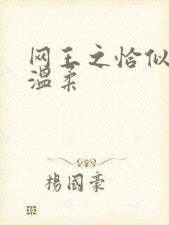 网王之恰似你的温柔